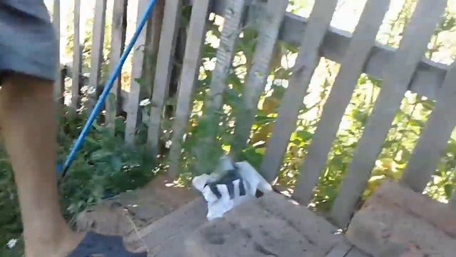 пацан играет с мячиком смотреть онлайн