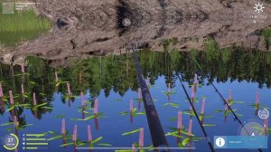 РР4 ОЗЕРО ЛАДОЖСКОЕ КОЛЮШКА ТРОФЕЙ / РУССКАЯ РЫБАЛКА 4 ЛАДОЖСКОЕ ОЗЕРО КОРЮШКА / RF4