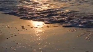 Вова Чё Морале и Lo Fi Energy - Поговорить с Морем (Lyric Video 2020)