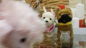 МЯГКИЕ ИГРУШКИ СОБАЧКИ для детей