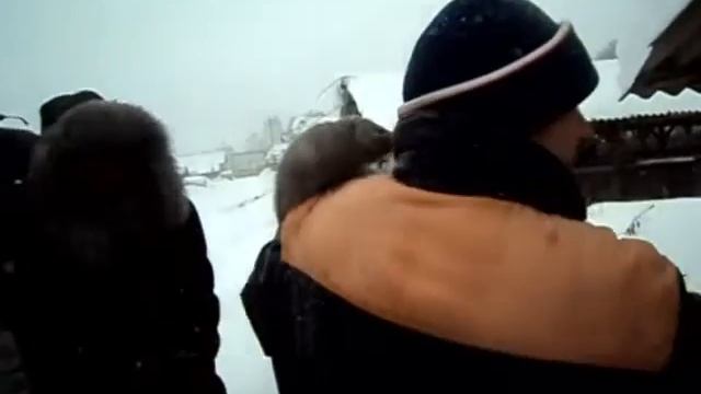 Лекция Трапезова, норки. смотреть онлайн