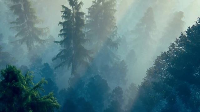 What Is Qigong? The Answer Will AMAZE You! смотреть онлайн