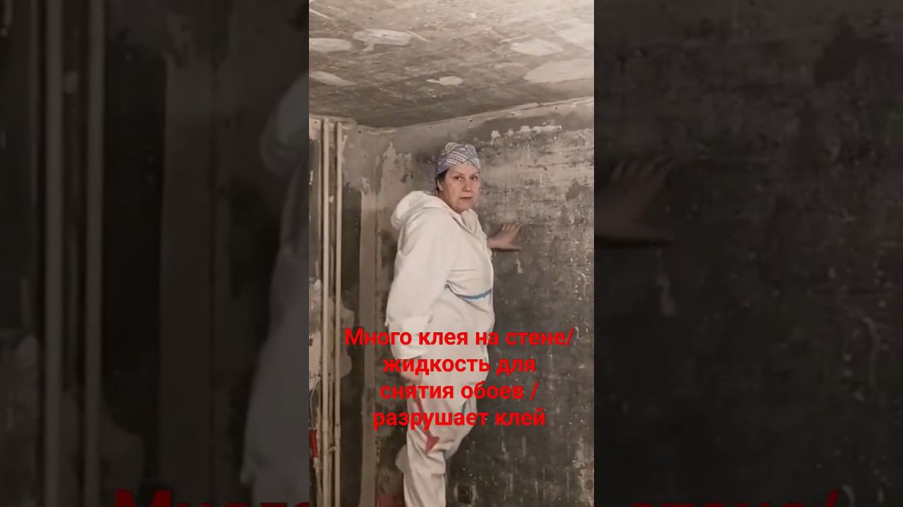 Как очистить стену от обоев #демонтажобоев #скребок #малярныеработы