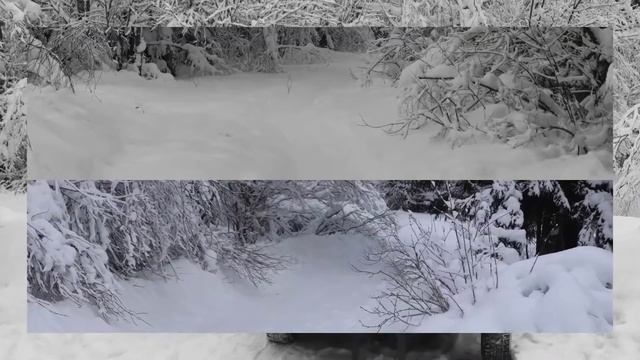 Костуя январь 2022 смотреть онлайн