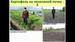Выращивание картофеля