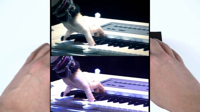 Моя коллекция музыкальных Blu-ray смотреть онлайн