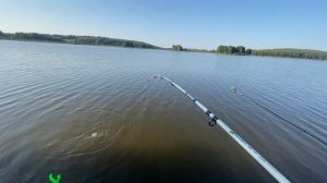 Ловля карпа