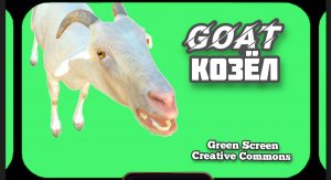 КОЗЁЛ видео Green Screen. ХРОМАКЕЙ АНИМАЦИЯ на зелёном фоне.