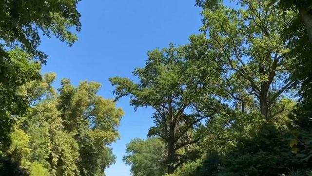 ОСТРОВ ПАВЛИНОВ БЕРЛИН/РАЙ НА ЗЕМЛЕ/ВТОРАЯ ЧАСТЬ ПОЕЗДКИ смотреть онлайн