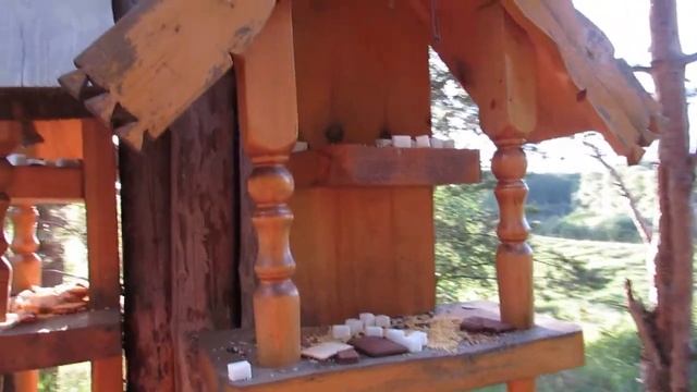 Священный камень и старая церковь. Окунево 2021 г. Солнцестояние.