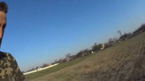 посев овса