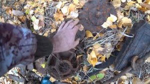 Металлокоп на Вездеходе. Богатое Урочище !!!