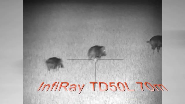 InfiRay TD50L wild boar hunting - lov divočáka 70m смотреть онлайн