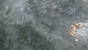 покатушки 05.11.2022 - 2.mp4