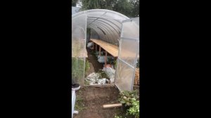 Открытие сезона черенкования!!!