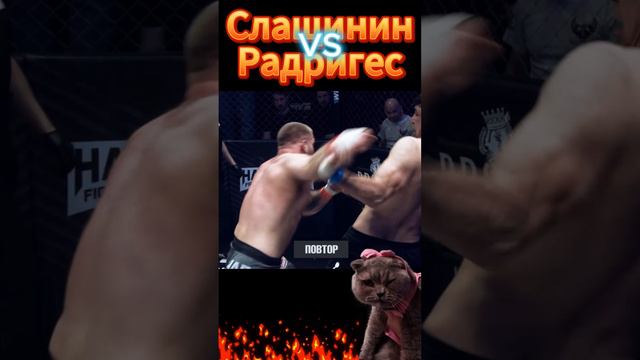 Слащинин VS Радригез. Ждём бой.Хардкор.