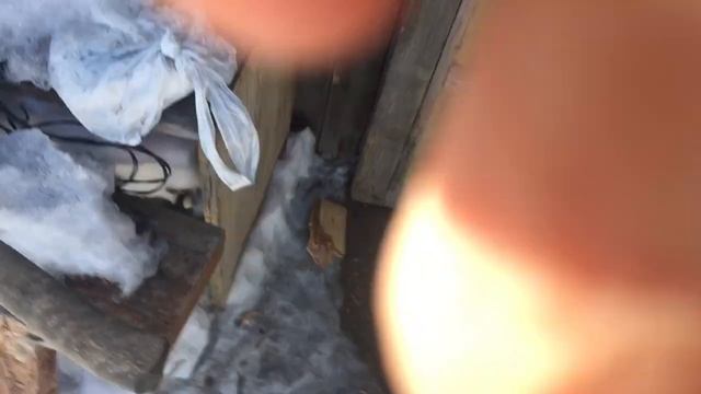 Приятное воскресенье.