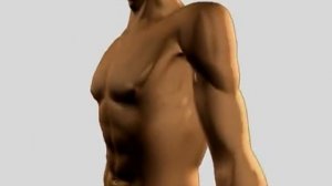 Что такое сколиоз?