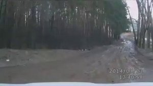 Ситроен си кроссер по грязи