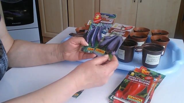 ПОСЕВ СЕМЯН ПЕРЦА С КИПЯТКОМ! смотреть онлайн