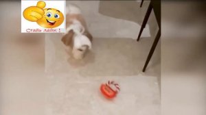 Раз два три четыре пять  Я иду тебя искать