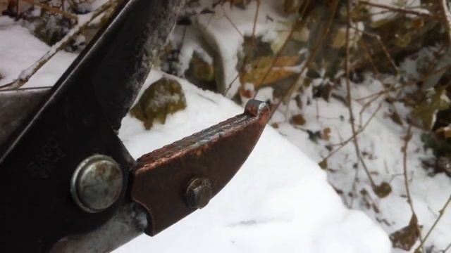 ТопСад. Лучшие инструменты для сада. Телескопический секатор.