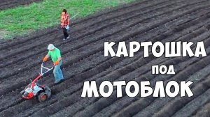 Посадка картошки новым способом!!!