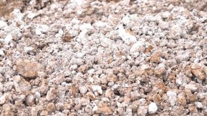 Стабилизация грунта