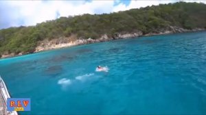 Андрей Шпехт - Золотце