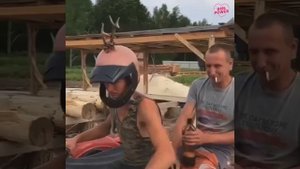 Куда они поехали?