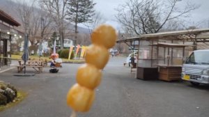 ЯПОНИЯ в осеннем наряде: красота НИККО.  #япония #путешествия_по_Японии #япония_влог