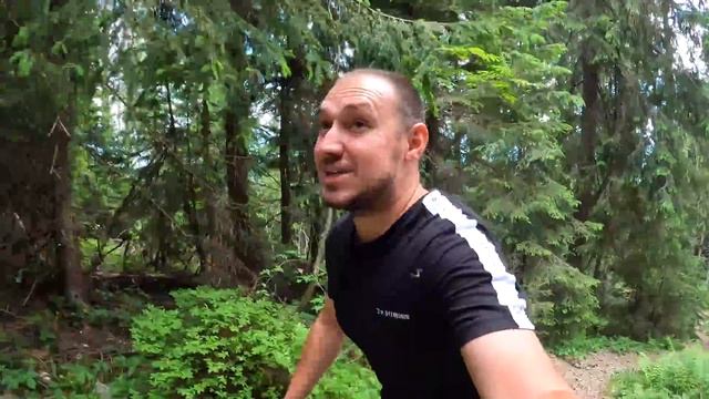 УКУСИЛА ЯДОВИТАЯ МУХА / выживание в лесу с хаски смотреть онлайн