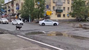 чита(забайкальский край)