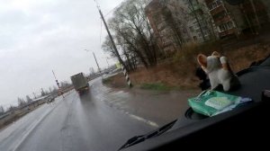 Трасса Ярославль - Киров, впечатления и приключения