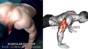 The 10 Best Exercises to Build Your Back NO WEIGHT!.mp4