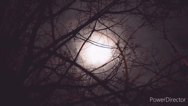 Música para meditar e relaxar, música instrumental ( Robert Haig Coxon ) смотреть онлайн