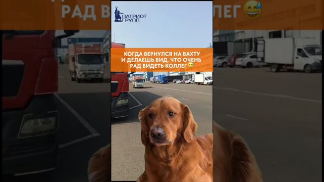 video_2024-09-18_09-04-39 (14)