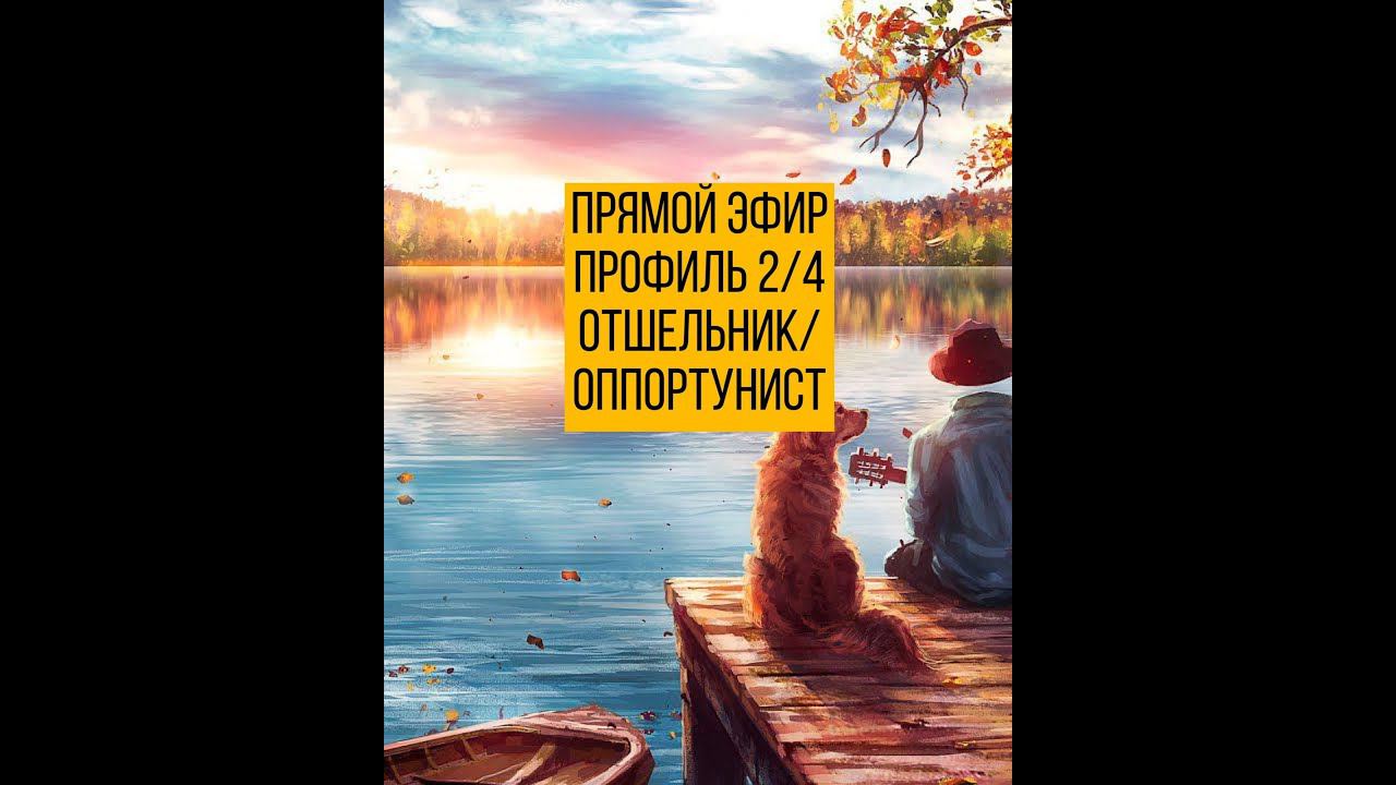Профиль 2/4 Отшельник/Оппортунист. Дизайн человека.