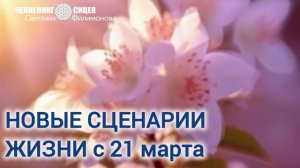 Новые сценарии жизни (ЦИ СИЦЕЯ 11пл)