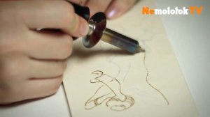 Выжигатель Pebaro - выжигаем картину