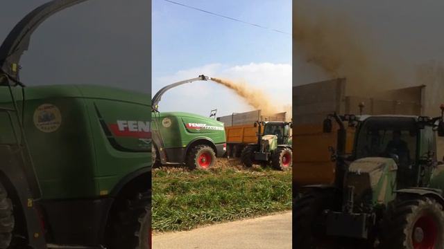 Video Récolte de Miscanthus смотреть онлайн