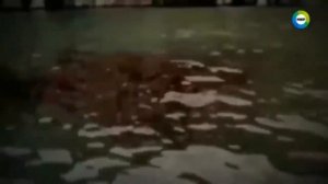 Технологии ДРЕВНИХ ЦИВИЛИЗАЦИЙ / Где живут БОГИ?