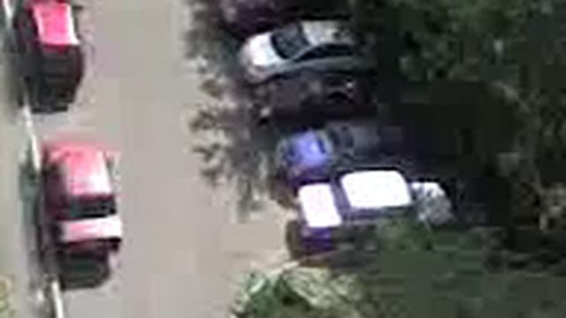 Дерево на стене. Уральская 74 Екатеринбург. смотреть онлайн