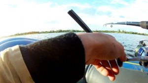 щука сошла с ума, бешенный клев щуки и окуня