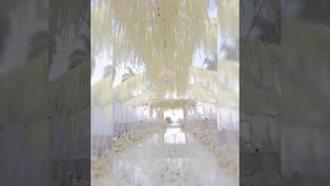 Воздам хвалу и славу я любимому Творцу. Суламита. Песня великой радости!