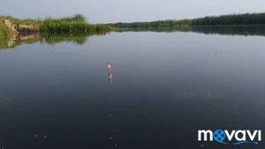Как поймать пескаря. Ловля на живца.