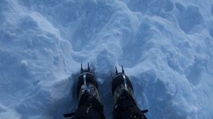 Белуха не пустила. Алтай.