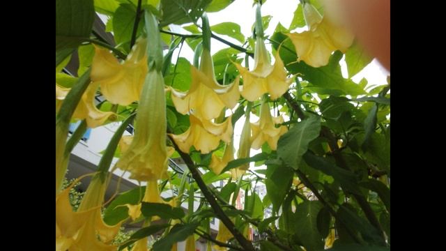 kruger1r смотреть онлайн