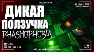 КАК ИСПОЛЬЗОВАТЬ КАРТЫ ТАРО В ФАЗМОФОБИИ_ — Обновление в Phasmophobia _ Как играть в Фазмофобию