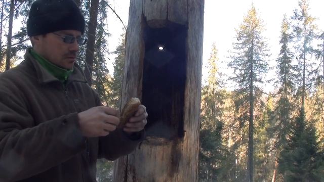 Делаем борть для пчел в дереве Часть 2 #4 смотреть онлайн